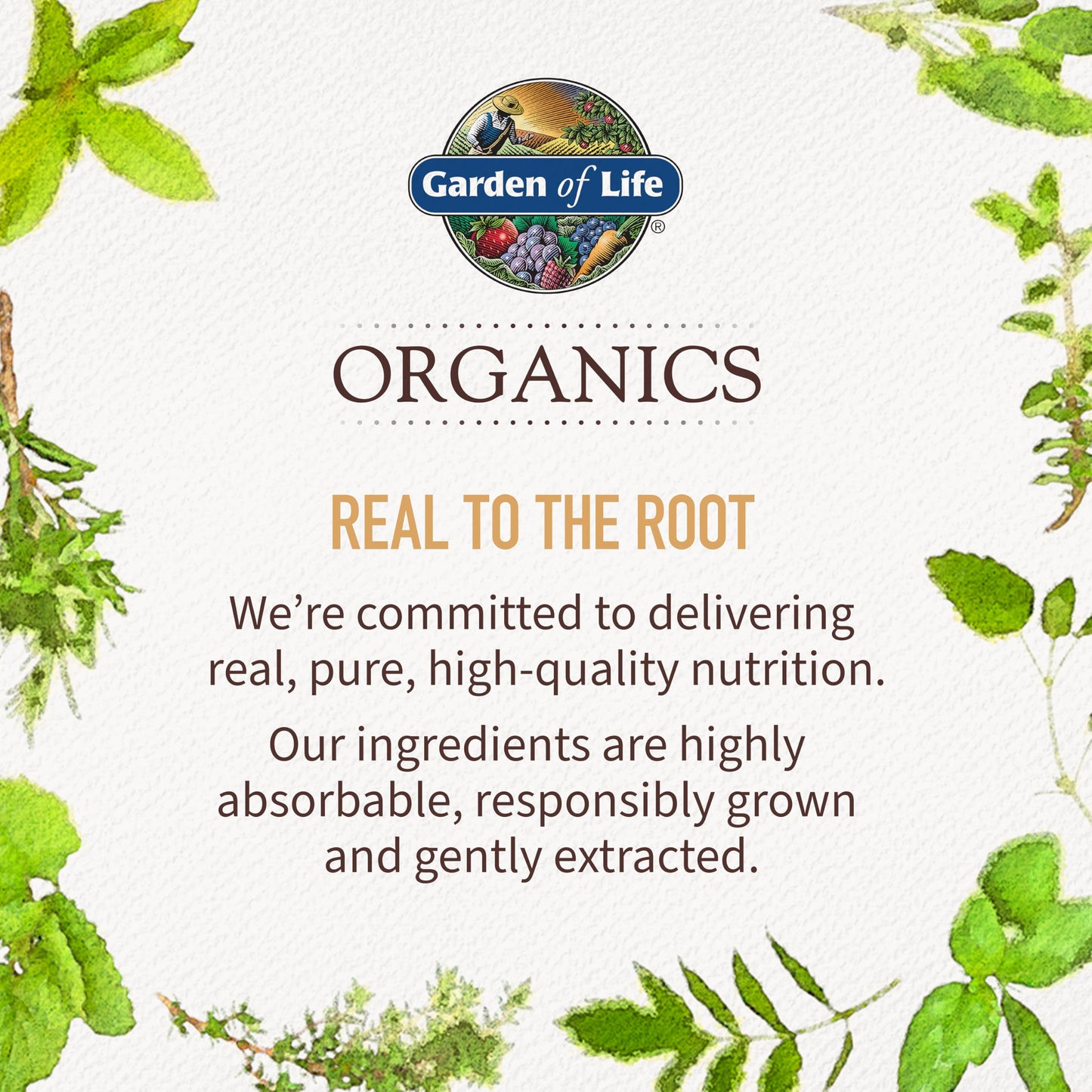 Garden of Life Organics Vegan Vitamin D3 Chewable - Raspberry Lemon, 2,000 IU (50mcg) Whole Food Vitamin D3 from Lichen