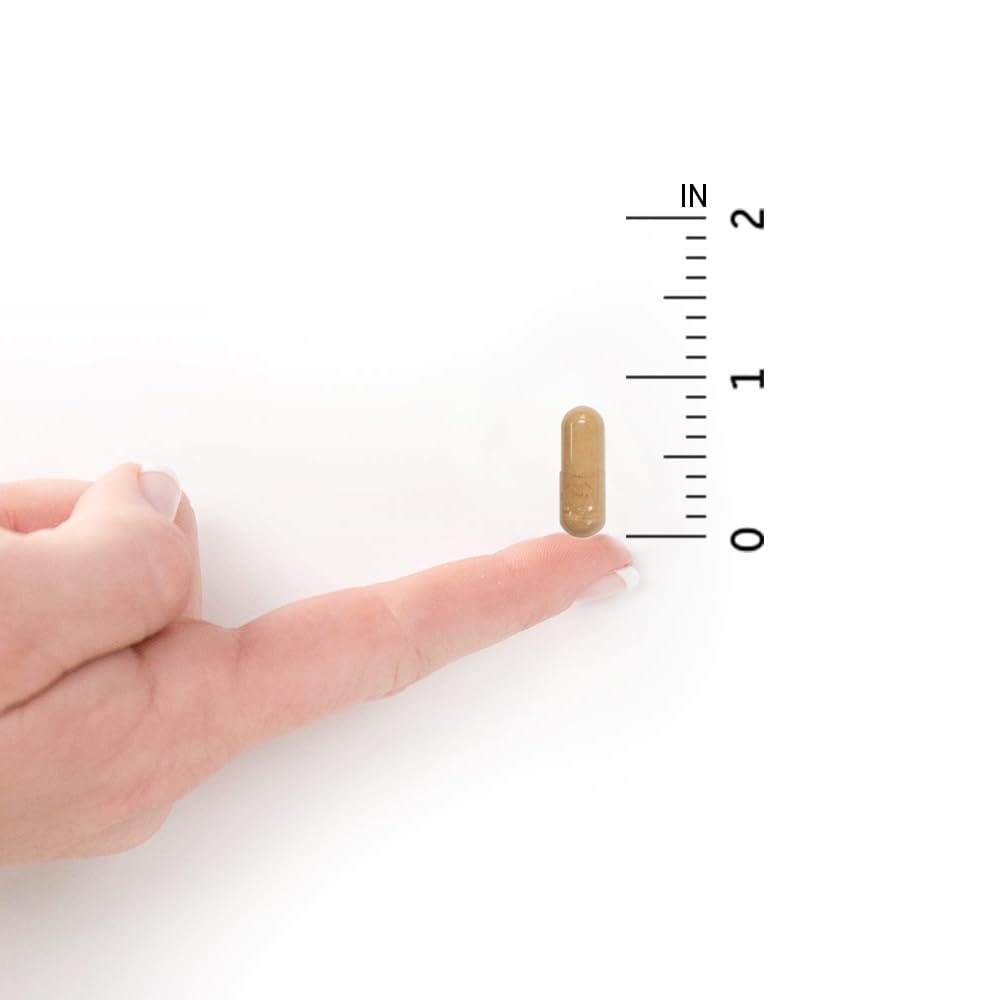 Garden of Life Vitamin B Complex, 120 Vegan Capsules, High Potency Vitamins for Energy & Metabolism with B6, Folate & B12 as Methylcobalamin Plus Probiotics Garden of Life buy supplements Au