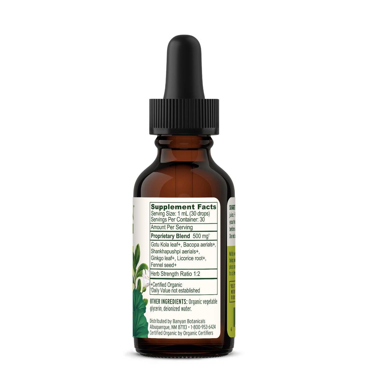 Banyan Botanicals Focus Liquid Extract – Organic Focus Supplement – Liquid Extract in Non-Alcoholic Glycerin – Nootropic Herbs for Fast-Acting Support* – 1 oz. – Non-GMO Sustainably Sourced Vegan Banyan BotanicalsBuy Supplements Australia