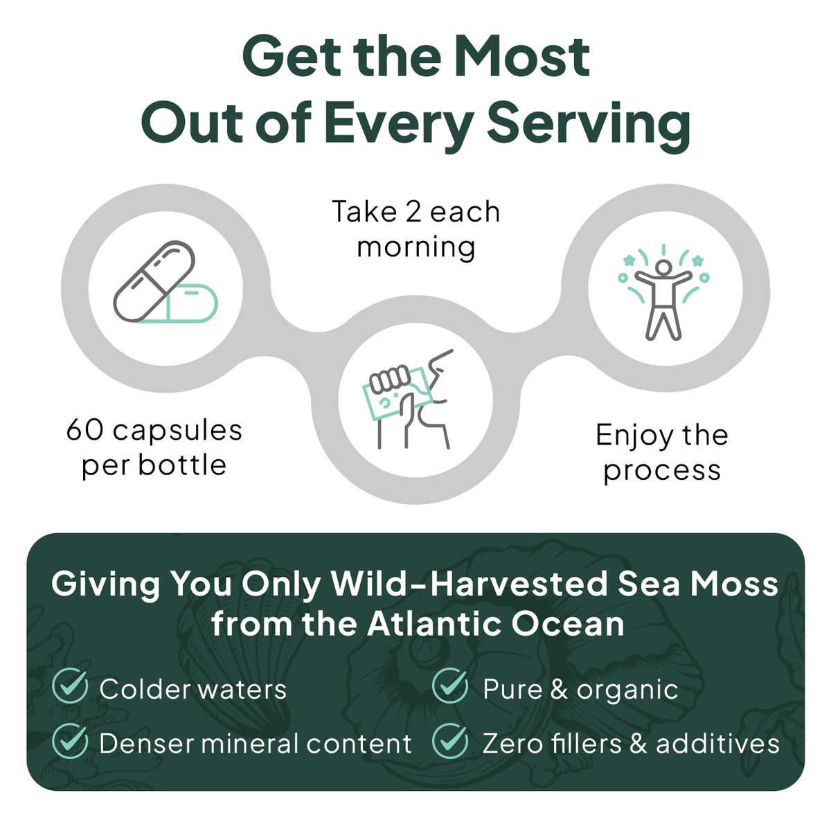 Organics Ocean Wild Sea Moss Capsules - 100% Organic Irish Sea Moss with Organic Chlorella, Bladderwrack and Vitamin D for Energy, Lung Health and Thyroid Support for Women and Men - 60 Capsules Organics OceanBuy Supplements Australia
