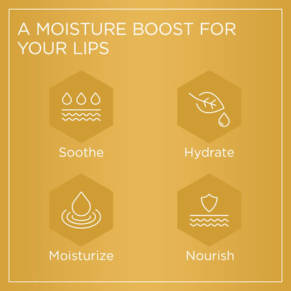 PURITI Manuka Honey Lip Balm – 3pack Soothing & Moisturizing, Enriched with Almond