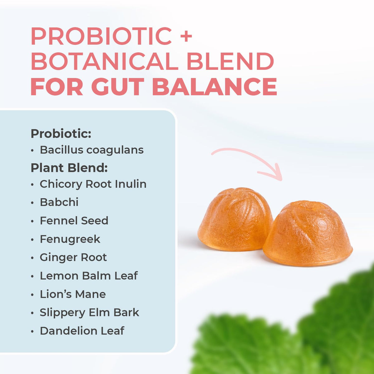 Nature’s NutriWave PrimeBiome Probiotic Gummies – Plant-Based Blend with Inulin, Lion’s Mane, Ginger & More– Non-GMO, No Stimulants, GMP Certified – 30 Gummies, 1 Month Supply Nature’s NutriWaveBuy Supplements Australia