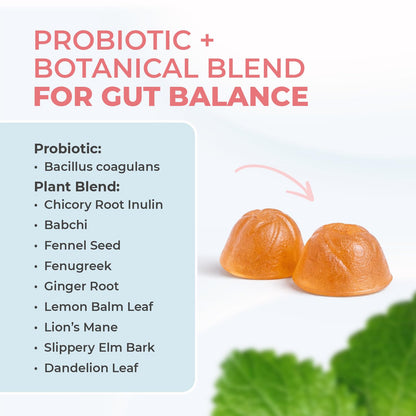 Nature’s NutriWave PrimeBiome Probiotic Gummies – Plant-Based Blend with Inulin, Lion’s Mane, Ginger & More– Non-GMO, No Stimulants, GMP Certified – 30 Gummies, 1 Month Supply Nature’s NutriWaveBuy Supplements Australia
