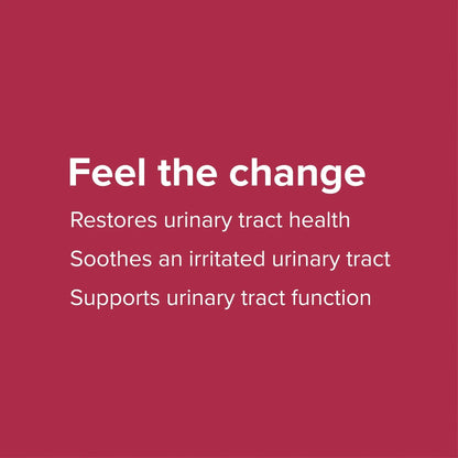 Vibrant Health, U.T. Vibrance Powder, Crisis Intervention for Urinary Tract Health, 10 Servings Vibrant HealthBuy Supplements Australia