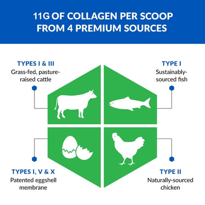 BioTrust Ageless Multi Collagen Peptides Powder - 5 Types (I, II, III, V, X) - Unflavored Collagen Powder for Women & Men - Hydrolyzed Protein