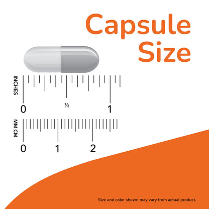 NOW Foods Supplements, L-Carnitine 500mg, Purest Form, Amino Acid, Fitness Support*, 60 Veg Capsules
