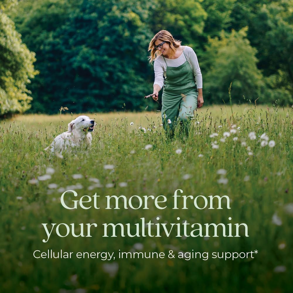 New Chapter Women’s Multivitamin 40+, extra B6 & B12, Biotin for Hair Growth, D3, Vit C, Zinc for Immune & Stress Support, Gentle on an Empty Stomach