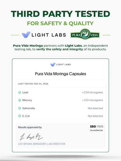 PURA VIDA MORINGA Organic Moringa Powder, Premium 100% Leaf Powder Single Origin - USDA Organic Moringa Oleifera Leaf
