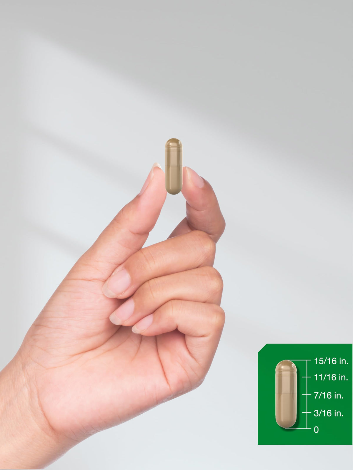 Horbäach Ceylon Cinnamon Supplement | 150 Capsules | Herbal Extract Pills | Non-GMO & Gluten Free