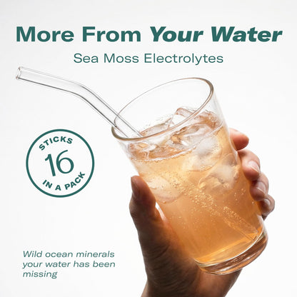 TrueSeaMoss Electrolytes Powder Packets – Made in USA – 16 Stickpacks – Hydration Powder with Sea Moss with Potassium – No Sugar Drinks – Variety Pack
