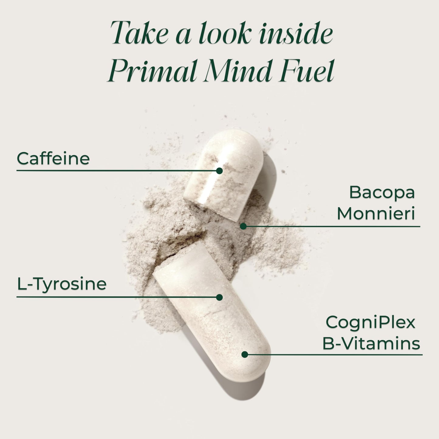 Brain Supplement by Primal Harvest, Primal Mind Fuel Brain Booster for Focus, Energy, Clarity, and Brain Health 30 Capsules