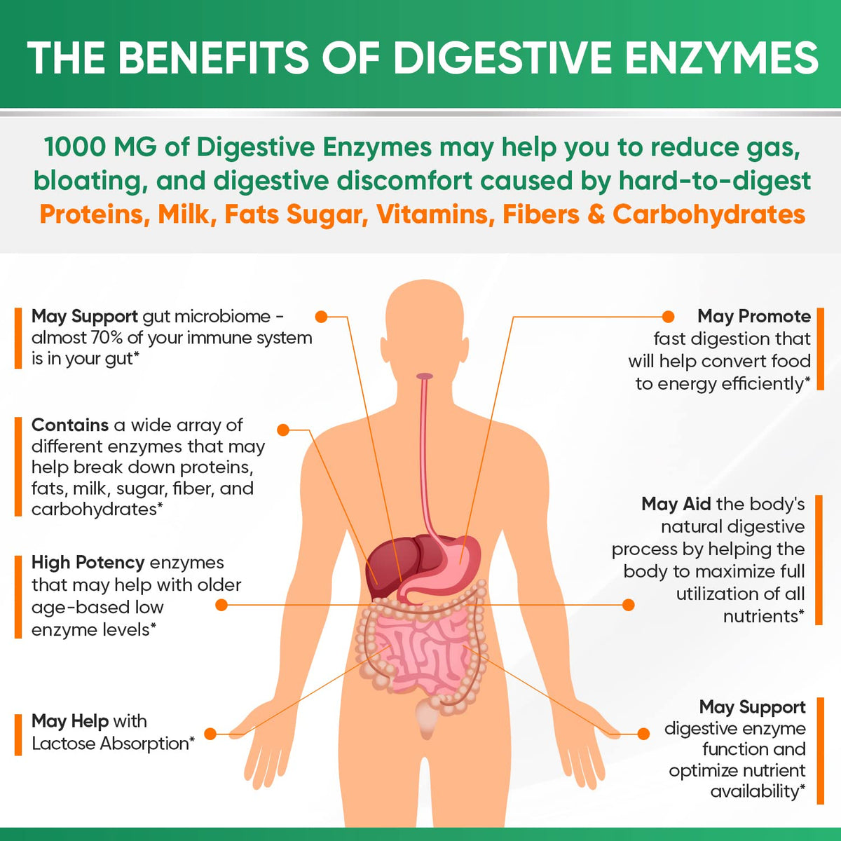 Wholesome Wellness Digestive Enzymes 1000MG Plus Prebiotics & Probiotics Supplement, 180 Capsules, Organic Plant-Based Vegan Formula for Digestion