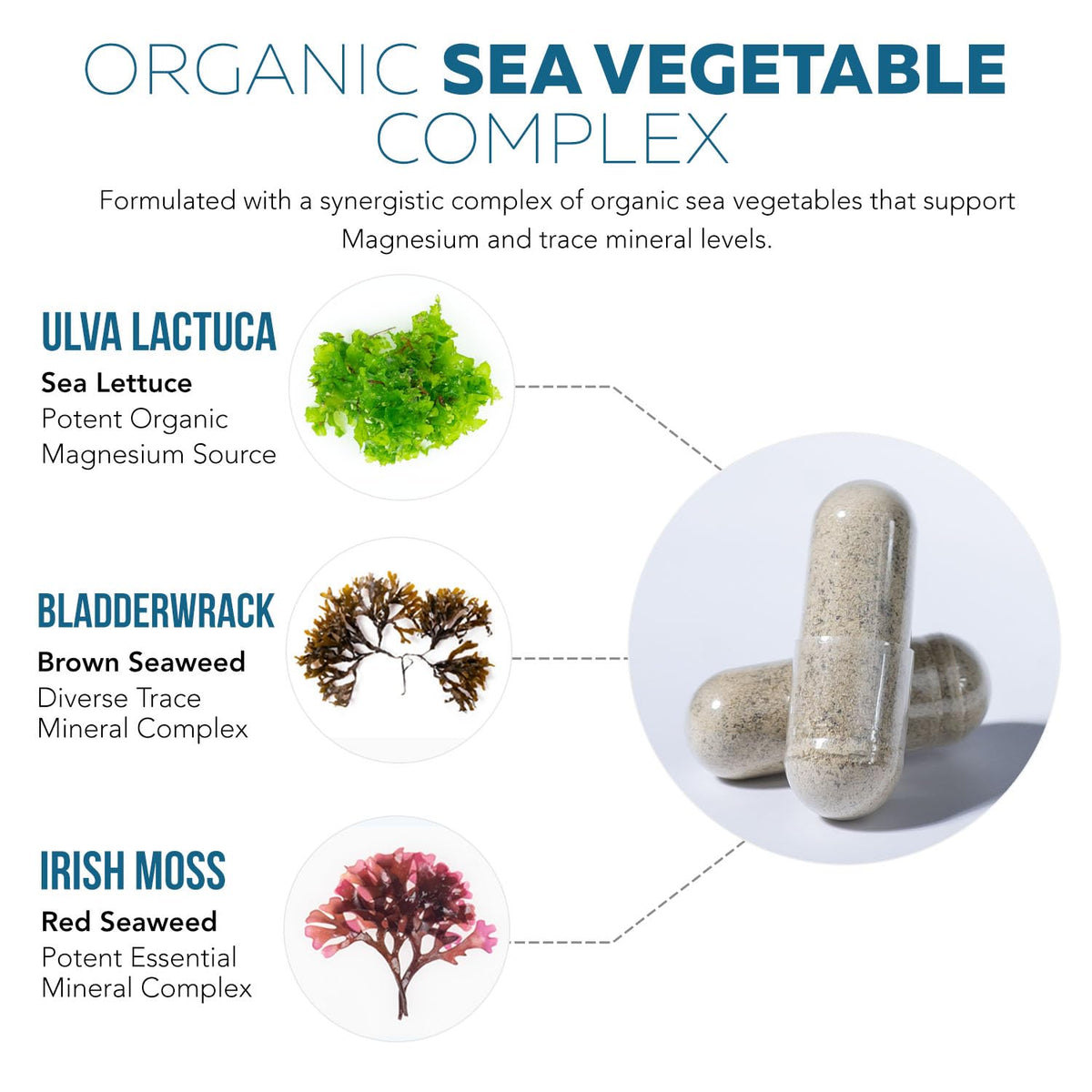 Organic Whole Food Magnesium Supplement - Plant-Based, Organic Sea Vegetable Complex - 250 mg Per Serving | Water Extracted | Gentle on Stomach | Supports Energy, Sleep, Muscle, Heart - 60 Capsules Triquetra Health buy supplements Au