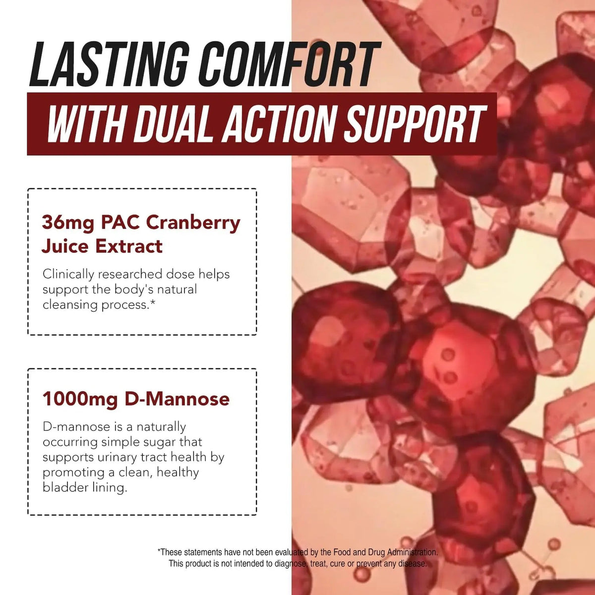 CranEaze®: Cranberry Juice Extract Plus D-Mannose – 36 mg PAC, 100% Soluble PAC - Supports Urinary Tract Health – Most Effective Cranberry Pills for Women, UTI Cranberry Supplement - 60 Capsules Triquetra HealthBuy Supplements Australia
