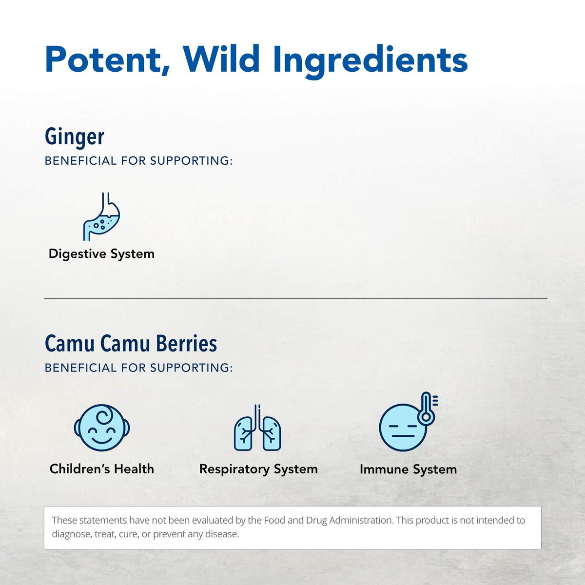 NORTH AMERICAN HERB & SPICE Inflam-eeZ - 90 Capsules - Supports Healthy Immune & Inflammatory Response - Ginger Root, Camu Camu Berries, Bromelain & Papain Plus - Non-GMO - 45 Total Servings NORTH AMERICAN HERB & SPICE buy supplements Au