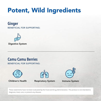 NORTH AMERICAN HERB & SPICE Inflam-eeZ - 90 Capsules - Supports Healthy Immune & Inflammatory Response - Ginger Root, Camu Camu Berries, Bromelain & Papain Plus - Non-GMO - 45 Total Servings NORTH AMERICAN HERB & SPICE buy supplements Au
