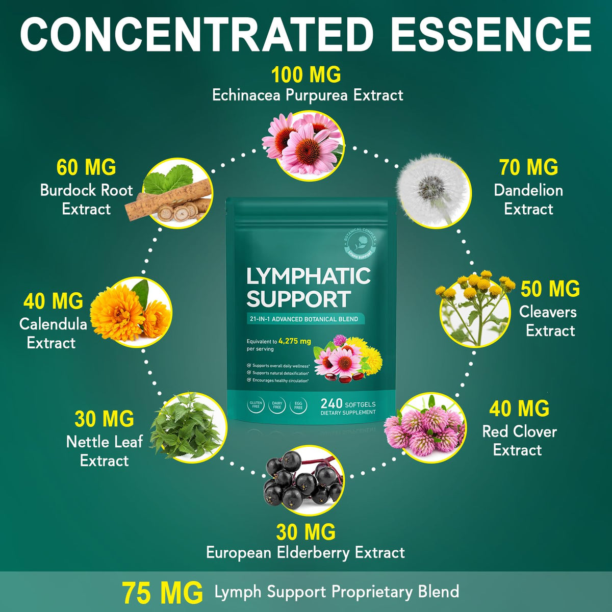 Lymphatic Drainage Supplements, Lymph System Support Supplement for Women & Men, Natural Herbal Blends with Echinacea, Dandelion, Burdock Root for Lymph System - 240 Softgels DLOMFVFQ buy supplements Au