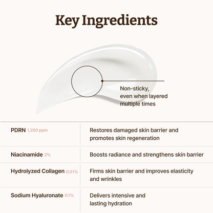 Dr. Reju-All PDRN Rejuvenating Cream – Rejuall PDRN Face Moisturizer – Optimal 1200ppm for Glass Skin & Plumping