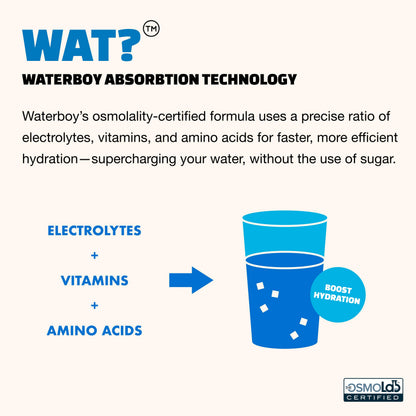 Waterboy Workout Hydration | 2,960mg Sugar Free Electrolyte Powder Packets | L-Glutamine + Vitamins | No Sugar, All Natural, Gluten Free