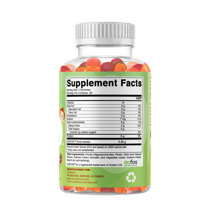 Vitamatic Kids Prebiotic Fiber Gummies – Extra Strength 4g Fiber – Zero Sugar Added – 60 Pectin-Based Gummies – Digestive Health & Regularity Support
