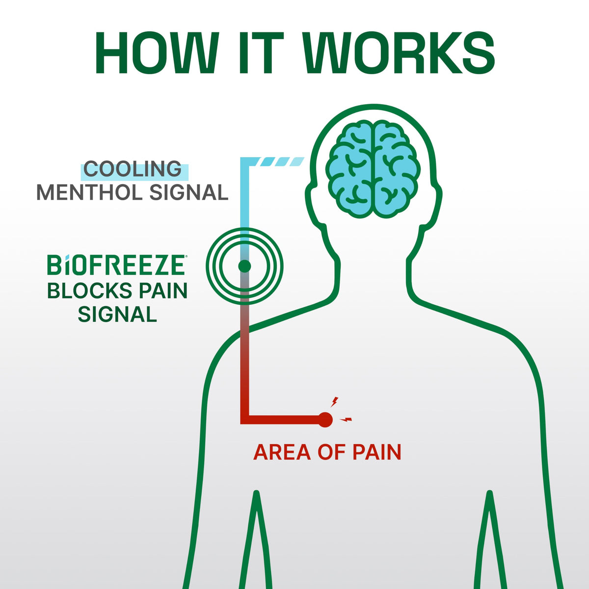 Biofreeze Professional Pain Relief Roll On, Travel Size Arthritis Discomfort Reliever, Fast Acting & Long Lasting Formula, Cooling Menthol Gel 3 Fl Oz (Pack of 3) BiofreezeBuy Supplements Australia