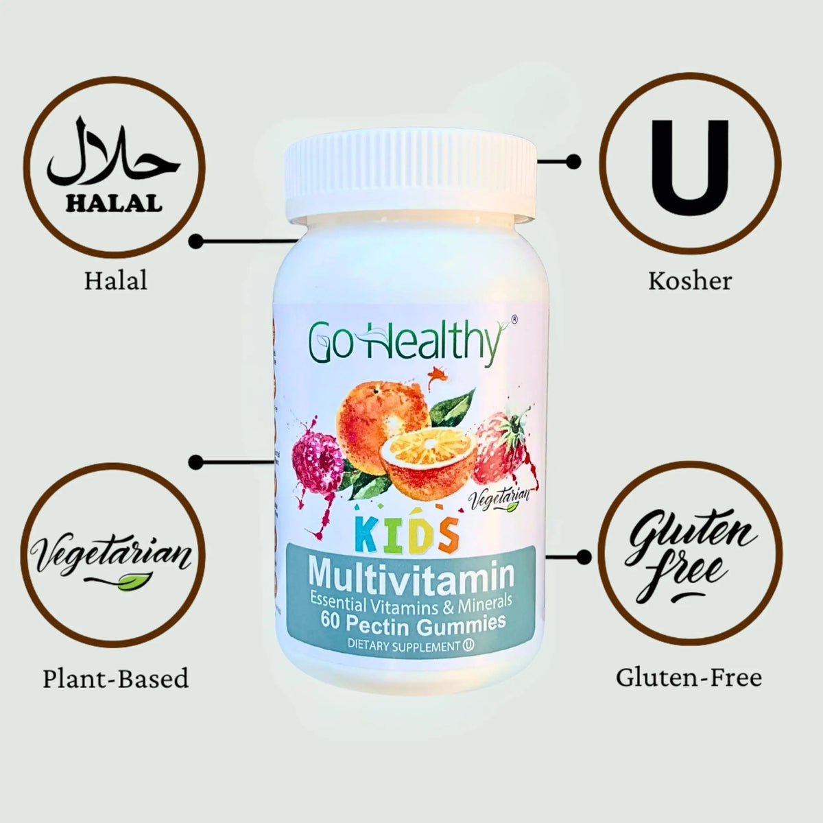 Go Healthy Kids Multivitamin Gummies, Immune Support, Kids Vitamin Gummies, Kosher Kid Vitamin, Halal Go Healthy Natural