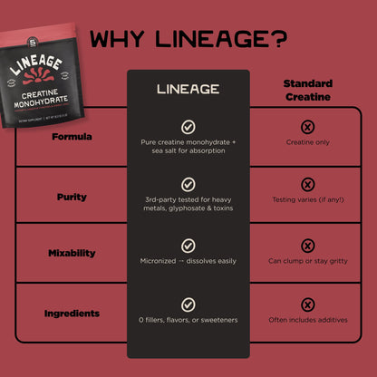 Lineage Provisions Micronized Creatine Monohydrate with Sea Salt - Micronized Creatine Powder for Training & Performance