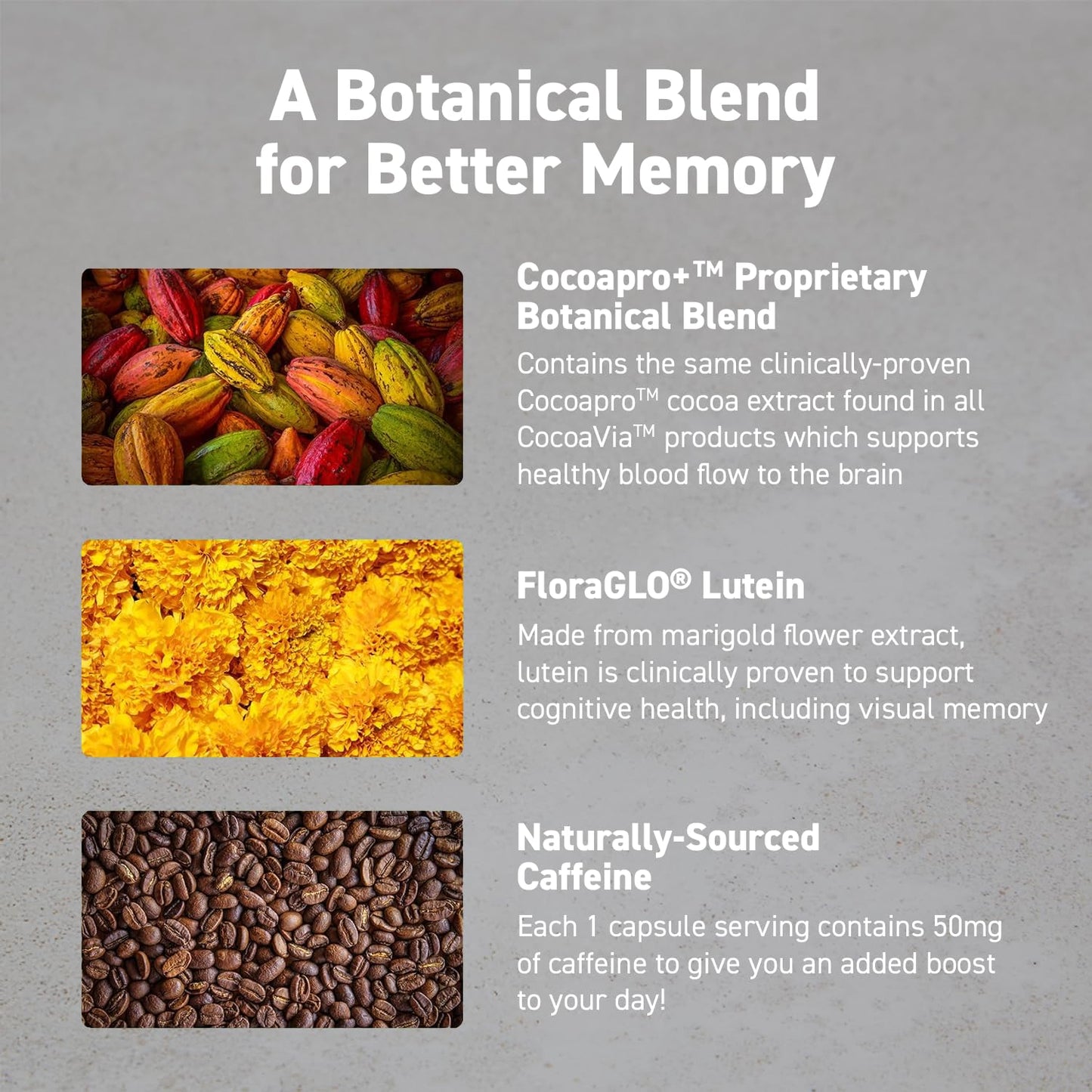CocoaVia Memory & Focus Brain Supplement, 30 Day, Cocoa Flavanol Blend, Lutein, Added Caffeine for Boost. Improve Cognitive Function, Attention, Vegan & Plant Based, 30 Capsules