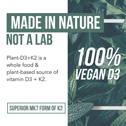 Organic Plant D3 + K2 | 5000 iu D3 + 120 mcg K2 as All-Trans MK7 from MenaQ7® - 100% Whole Food, Raw & Vegan | Enhanced Digestion with Prebiotic