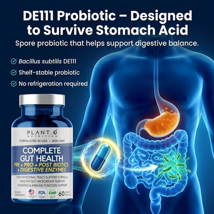 4-in-1 Gut Health Support – Prebiotics + Probiotics + Postbiotics + Digestive Enzymes – DE111 Spore Probiotic for Digestive Support & Bloating