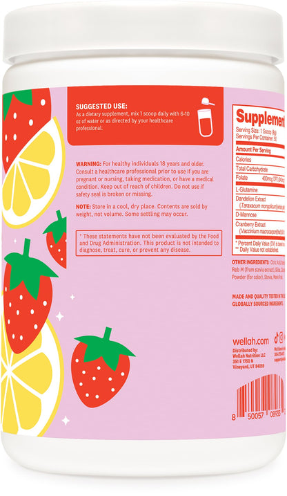 Wellah L-Glutamine Strawberry Lemonade Flavored (50 Servings) - 5g L-Glutamine Per Serving, Sweetened with Stevia