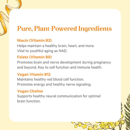 PURE SYNERGY Super B-Complex | Vitamin B Complex Made with Organic Whole Foods | Vegan Supplement with Natural Vitamin B12, Niacin, and Folate | for Energy