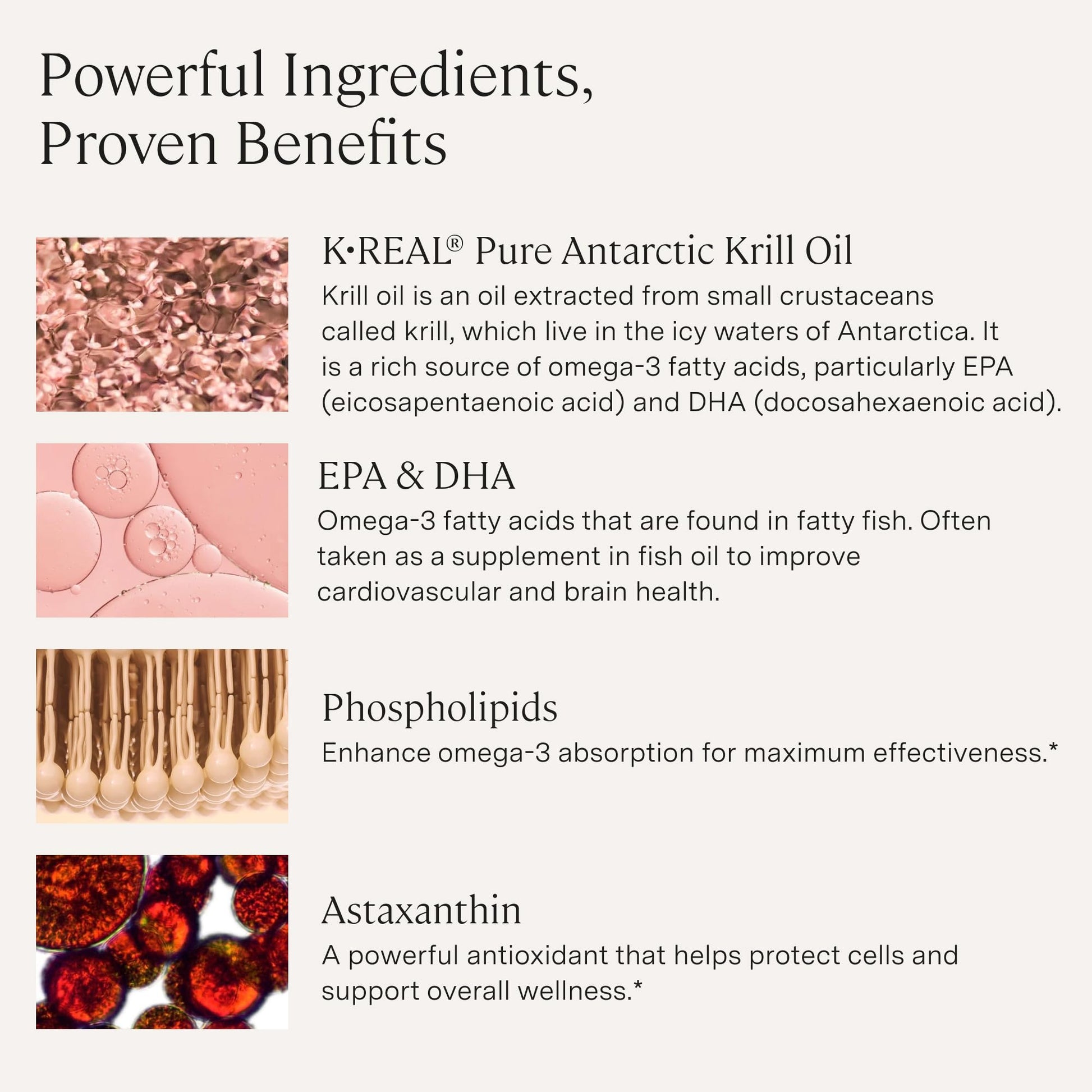 Stonehenge Health Dynamic Krill Oil 1600mg – Triple Strength Antarctic Omega-3 Supplement with EPA, DHA, Phospholipids & 2mg Astaxanthin – Supports Heart, Brain, Skin, Joint & Eye Health – 60 Softgels Stonehenge Health buy supplements Au
