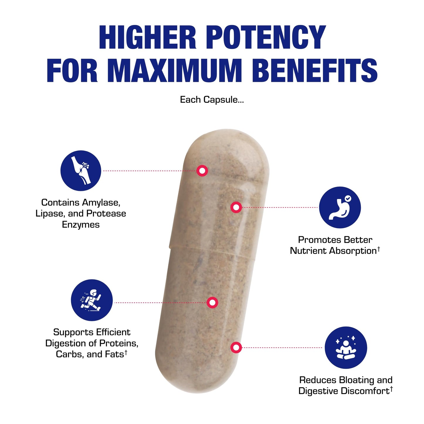 Plant Based Multi Digestive Enzymes Supplement - Clinically Formulated Digestion Supplement with Soothing Herbs and Enzymes for Women and Men