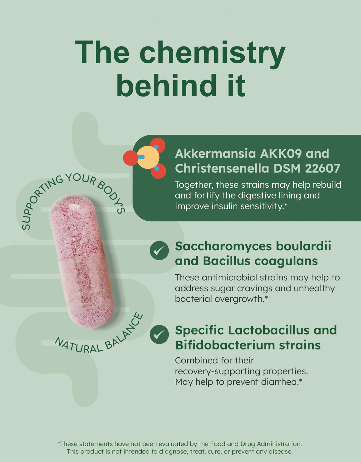 GutRx Balance – Probiotics for Women & Men with Akkermansia Probiotic & Christensenella, GLP-1 Alternative for Gut Health with Lactobacillus Plantarum,