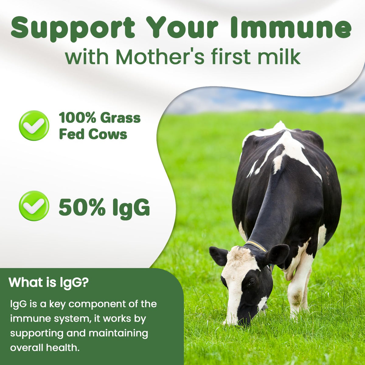 MICYDELAS Bovine Colostrum Supplement Powder 50% IgG Premium Bovine Colostrum for Gut Health Support, Immune Support, Muscle Recovery & Overall Wellness, Grass Fed, Non-GMO, Unflavored, 60 Servings MICYDELAS buy supplements Au