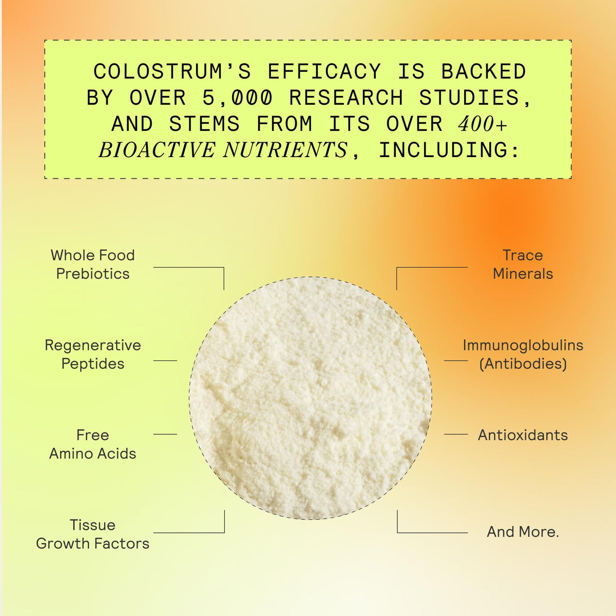 ARMRA Colostrum Powder | Vine Watermelon | Gut Health & Bloating | Skin & Hair | Immunity | Keto, Gluten & Fat-Free | 30 Servings