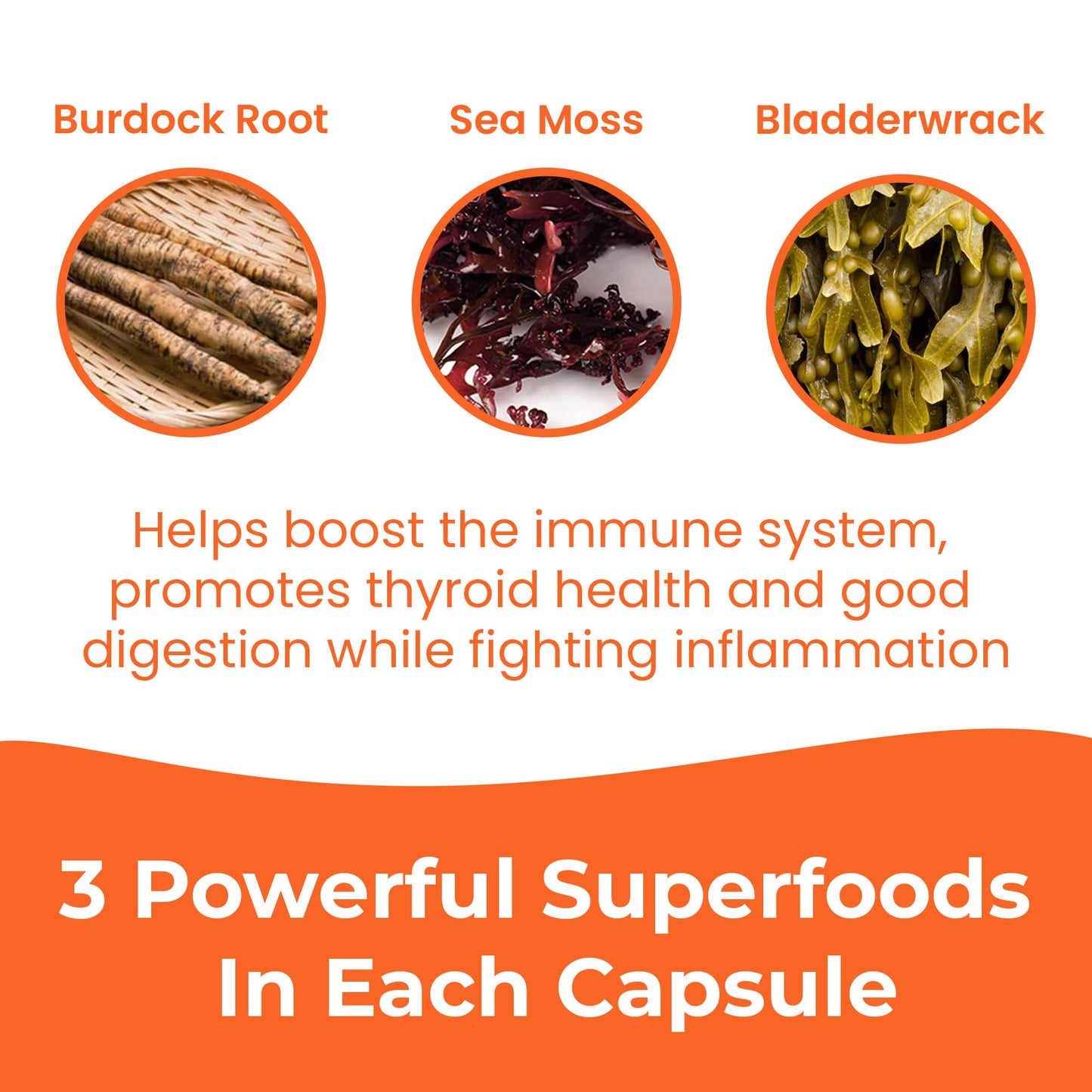 INFINITE AGE 1250mg Sea Moss Advanced Superfood Capsules, 60 Count - High-Potency, Vegan, Made in The USA - Irish Seamoss, Bladderwrack, Burdock Root - Overall Health, Immunity Support INFINITE AGEBuy Supplements Australia