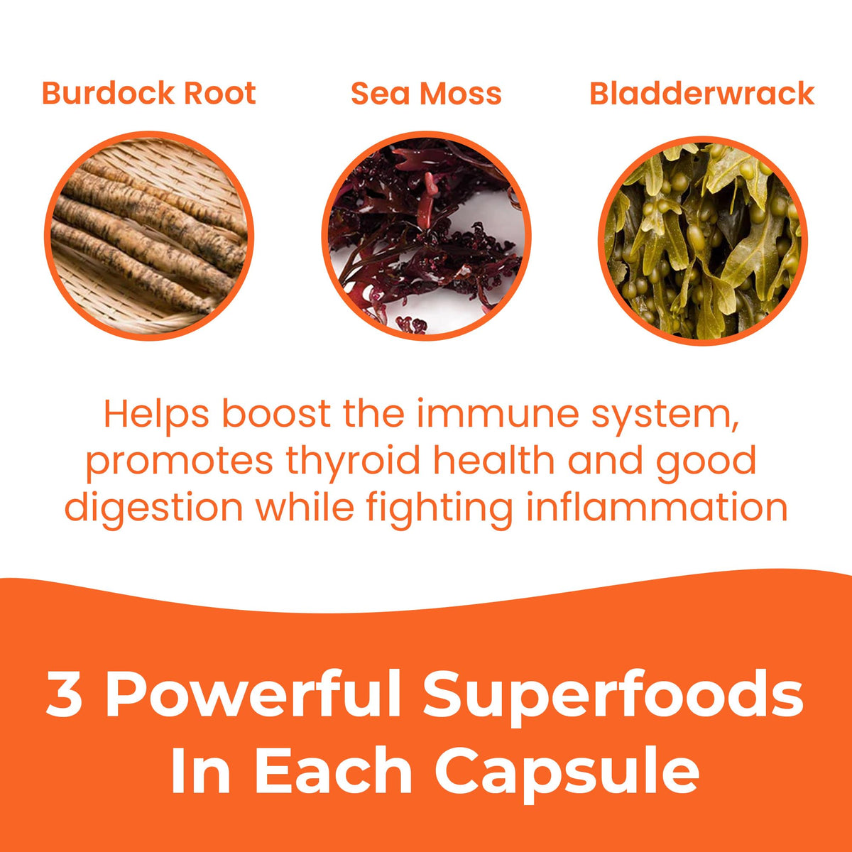 INFINITE AGE 1250mg Sea Moss Advanced Superfood Capsules, 60 Count - High-Potency, Vegan, Made in The USA - Irish Seamoss, Bladderwrack, Burdock Root - Overall Health, Immunity Support INFINITE AGEBuy Supplements Australia