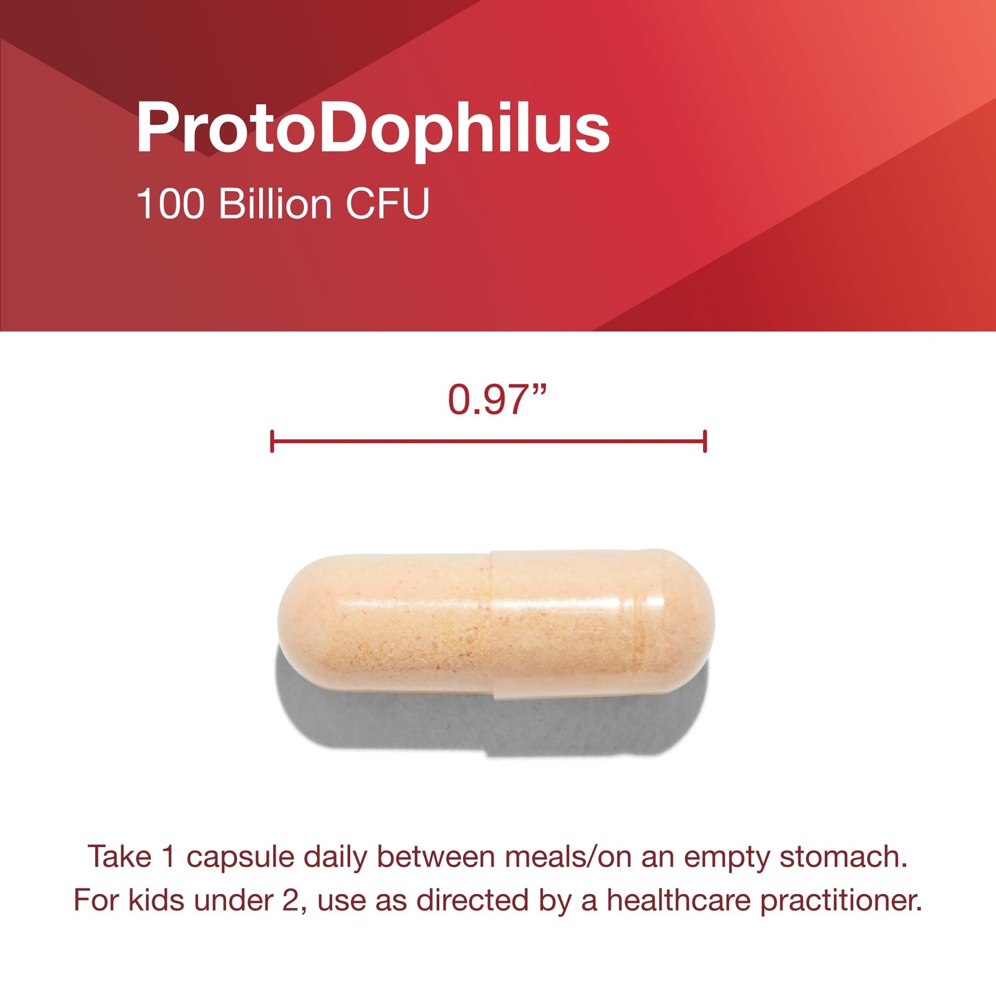 PROTOCOL FOR LIFE BALANCE Proto Dophilus 100 Billion 10 Strains - Support Digestive Gut Health Immune System & Detox - Dairy, Wheat, Soy & Gluten Free - Vegan & Nut Free - 30 Veg Capsules