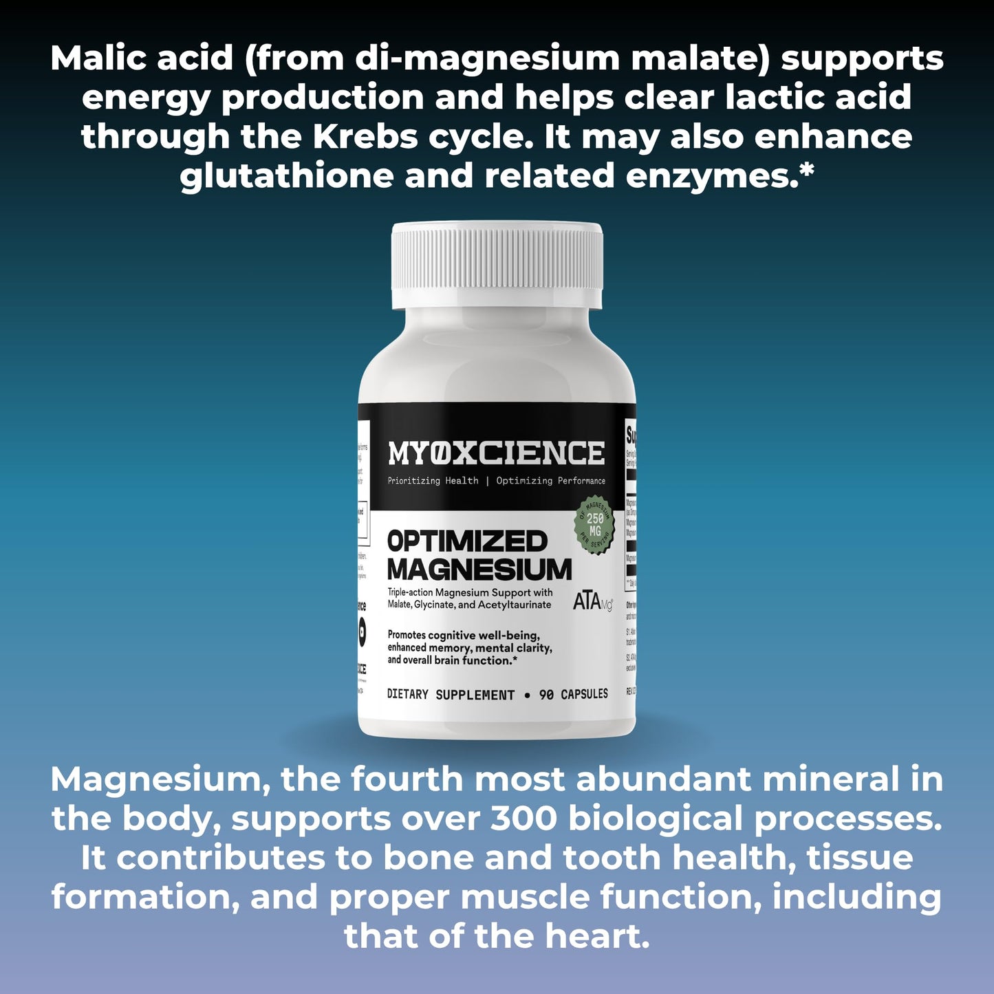MYOXCIENCE Optimized Magnesium Glycinate + Magnesium Taurate (as ATAmag®) for High Brain Bioavailability to Support Stress Relief and Sleep | 30 Servings MYOXCIENCE buy supplements Au