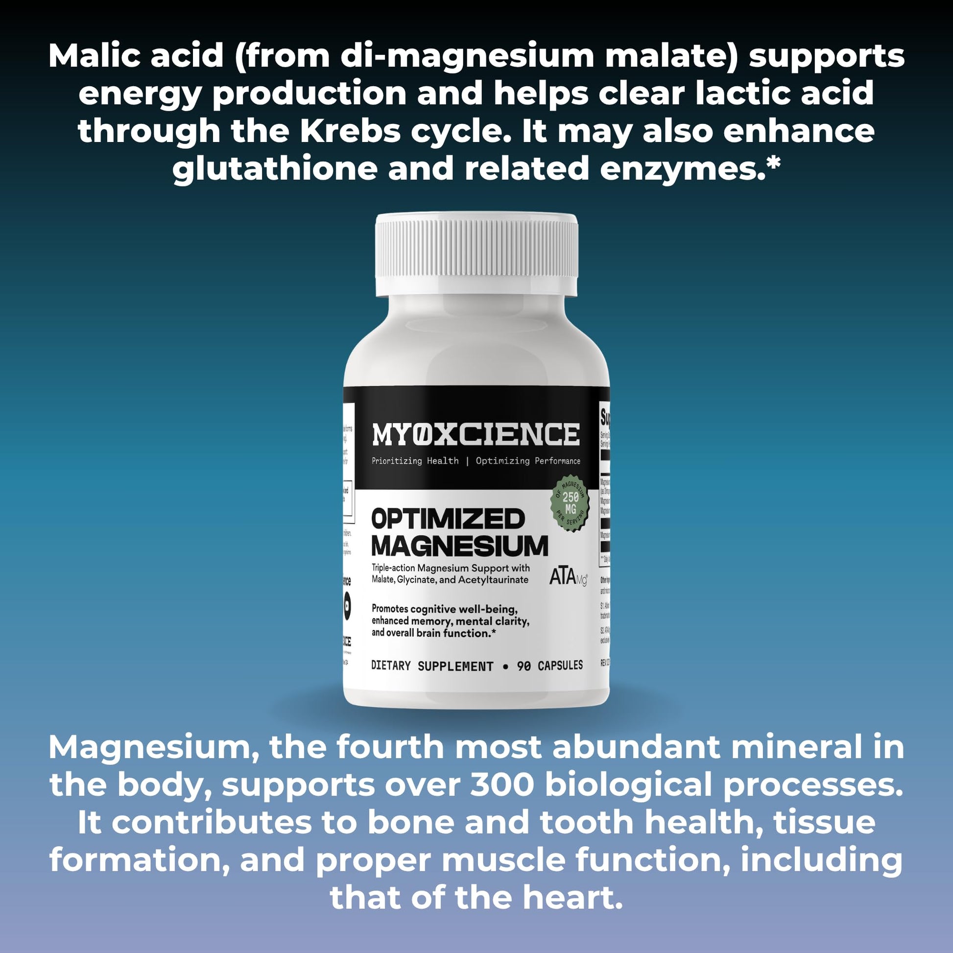 MYOXCIENCE Optimized Magnesium Glycinate + Magnesium Taurate (as ATAmag®) for High Brain Bioavailability to Support Stress Relief and Sleep | 30 Servings MYOXCIENCE buy supplements Au