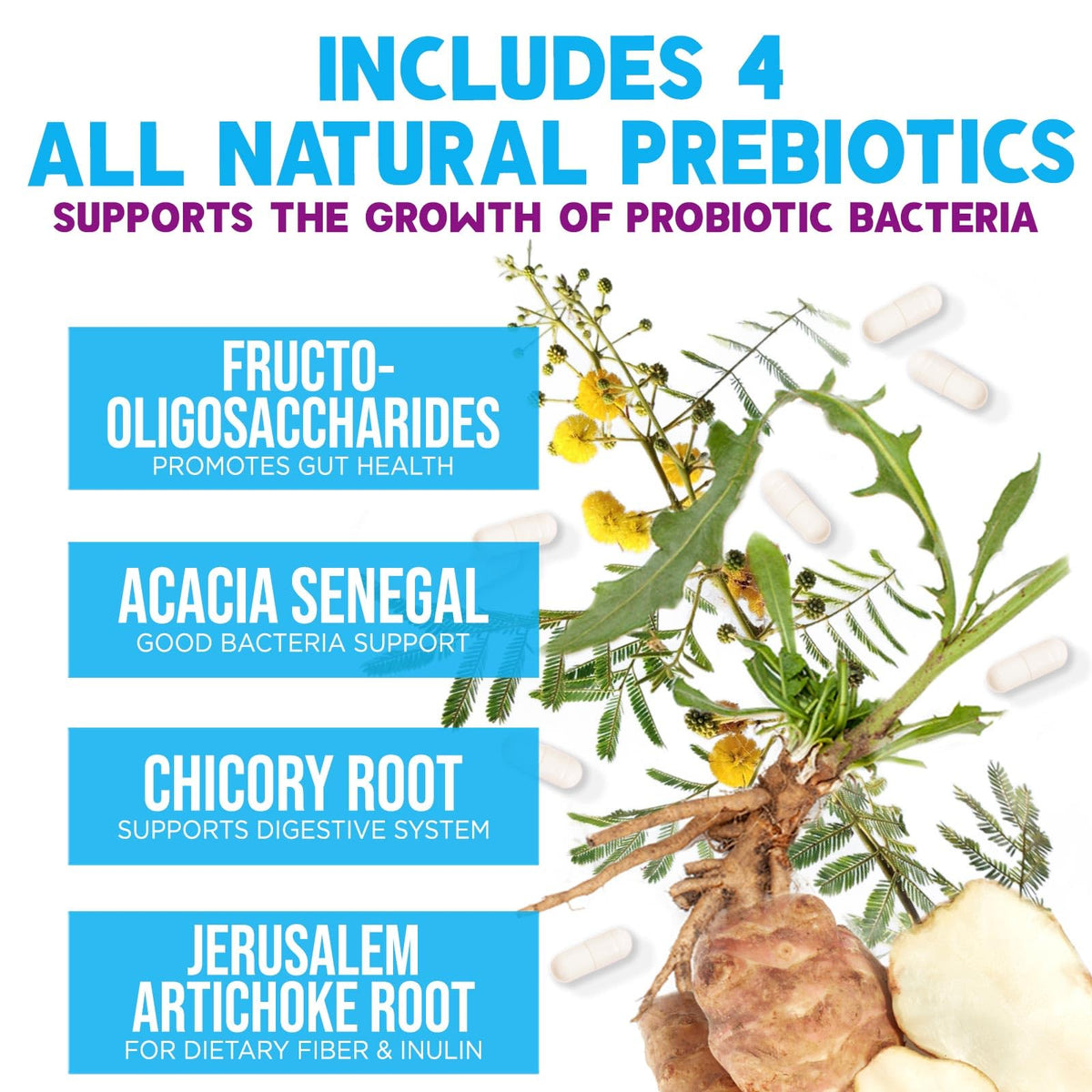 Probiotics 100 Billion CFU Per Serving - 10 Premium Strains + Prebiotics - Best Probiotic Supplement for Women & Men - Supports Immune, Digestive Health,
