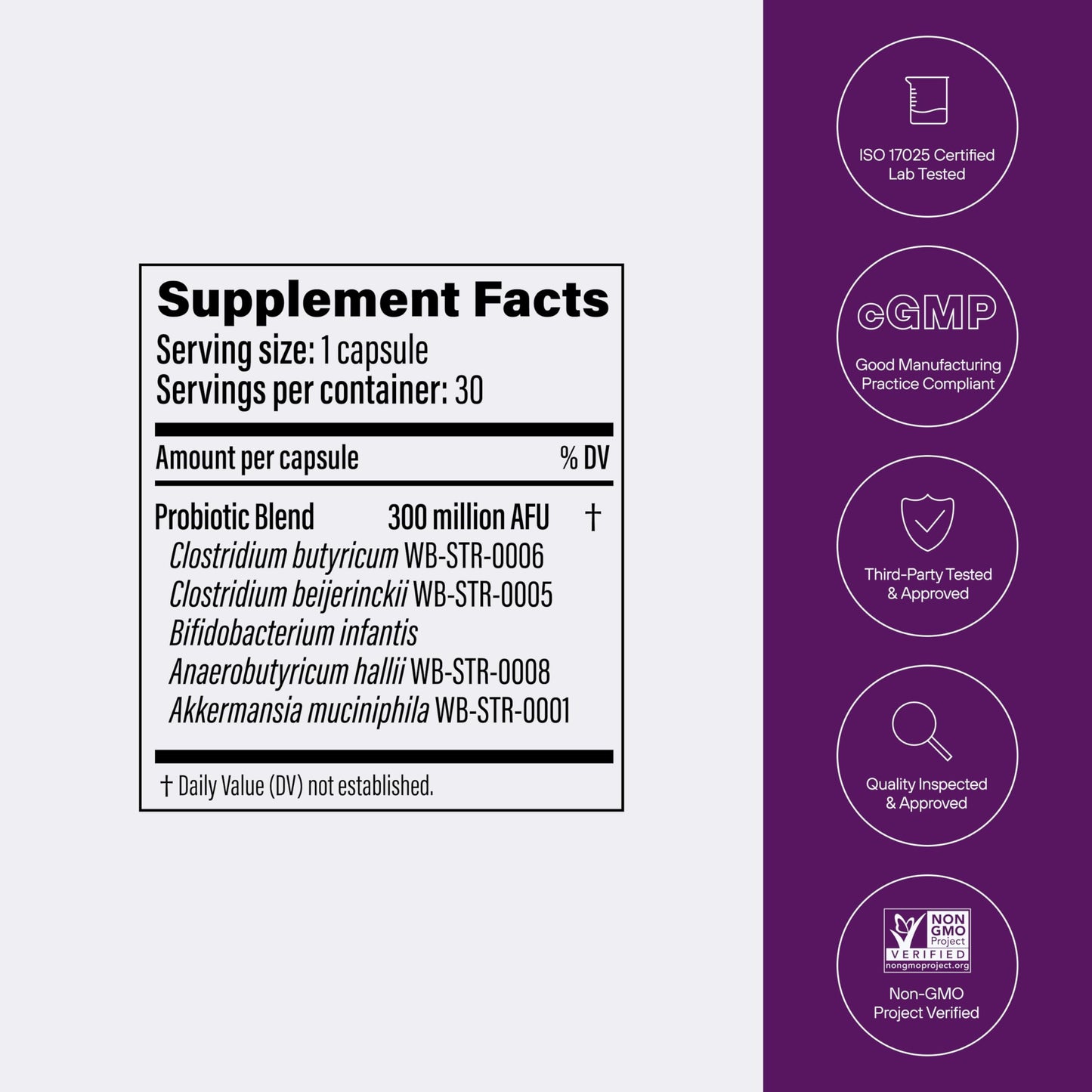 Pendulum Metabolic Daily - Multi-Strain Probiotic with Akkermansia muciniphila to Support Metabolism and Sustain Energy Levels