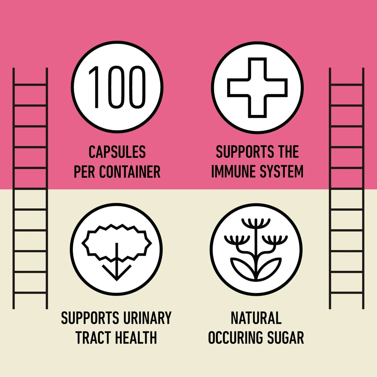 D Mannose 520mg Capsules - Organic D Mannose Supplement for UT Support, Urinary Tract Bladder Health Pills, Plant Based Formula, Vegan Non GMO, No Fillers, 500 Capsule Count Made USA Certified Kosher Complete Natural ProductsBuy Supplements Australia
