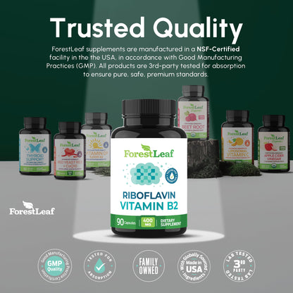 Vitamin B2 Riboflavin 400mg - Energy, Skin & Cellular Health Supplement - Nervous System Support - Vitamin B 2 Vit B - Non-GMO & Gluten Free - B2 Vitamin 400mg