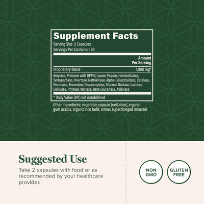 Global Healing - Ultimate Enzymes - Systemic & Digestive Enzymes Supplement for Healthy Digestion, Immune System Boost & Natural Gut Health, Digestive Enzyme for Women & Men, Lipase Global Healing Center buy supplements Au