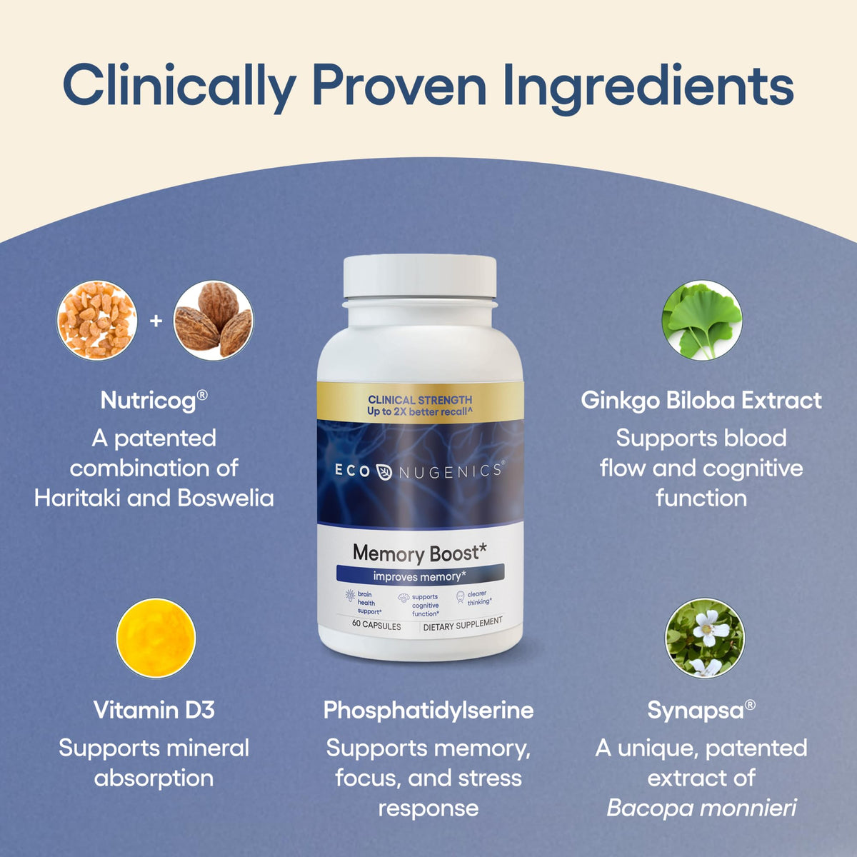 EcoNugenics Memory Boost Supplement – Clinically Studied Ingredients to Support Brain Focus & Health – Nootropic Formula with Bacopa Monnieri, Boswellia Serrata & Ginkgo Biloba Extract – 60 Capsules EcoNugenicsBuy Supplements Australia