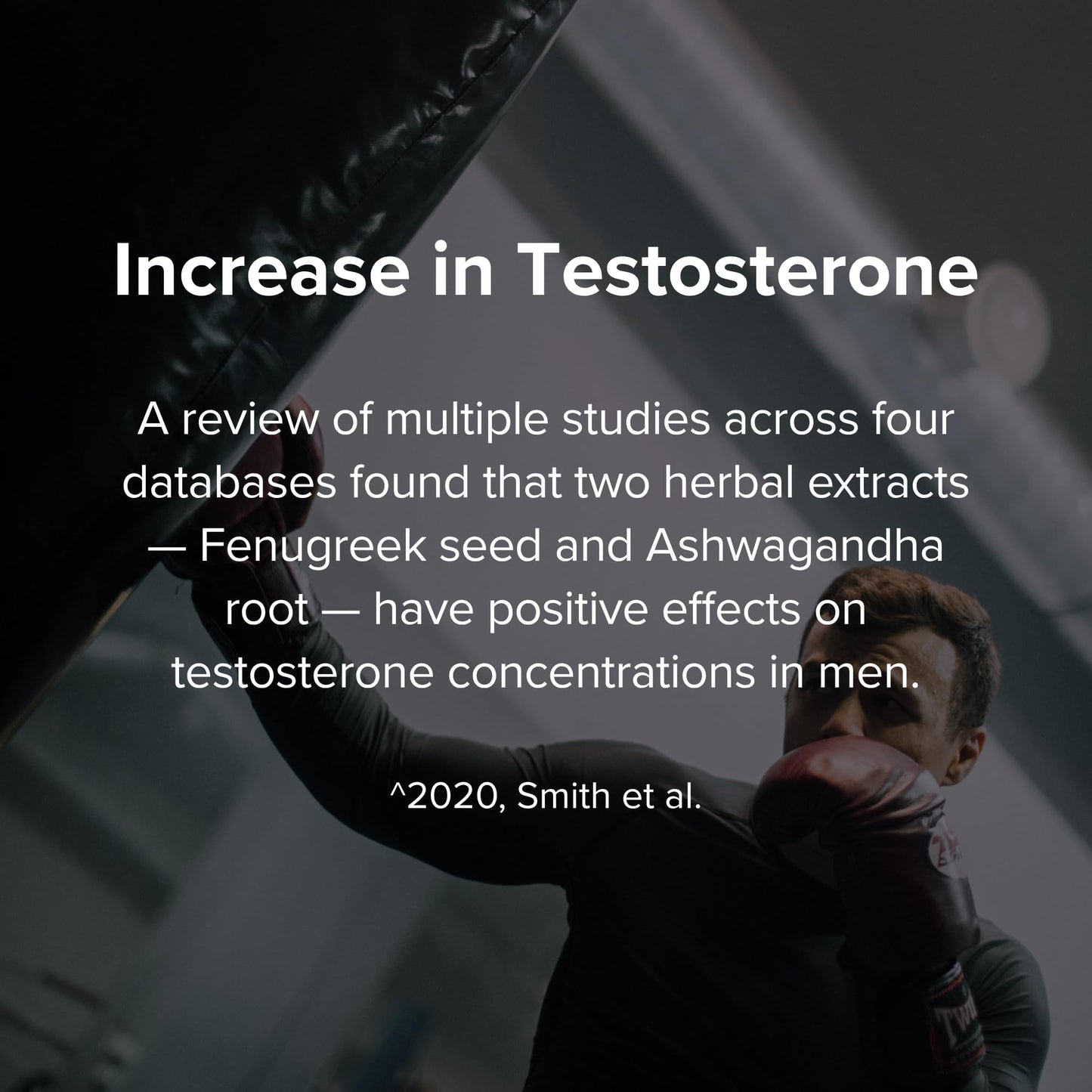 STRIVLABS Peak Potential 12-in-1  Support for Men – Fenugreek, Ashwagandha & Tongkat Ali – Natural Strength