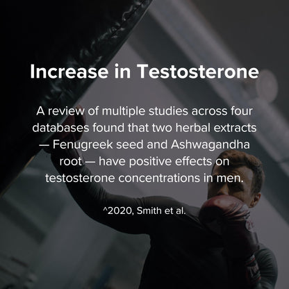 STRIVLABS Peak Potential 12-in-1  Support for Men – Fenugreek, Ashwagandha & Tongkat Ali – Natural Strength